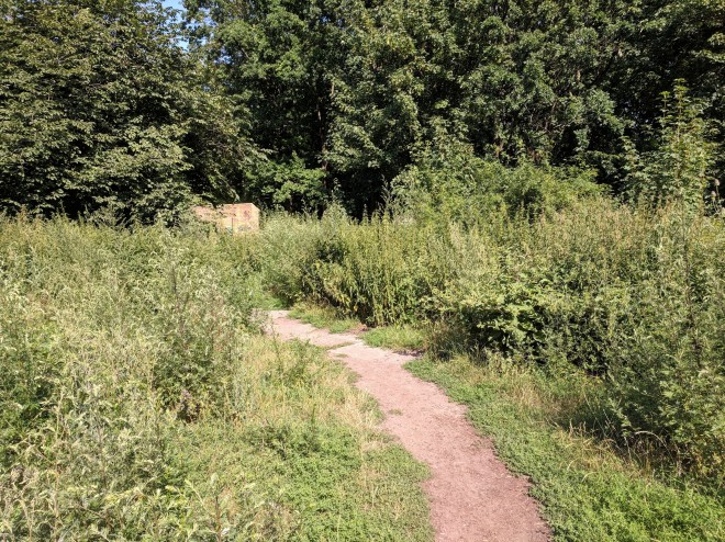 img_20190717_161821-1